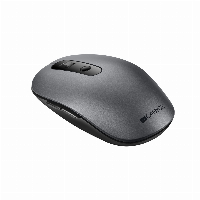 Мишка CANYON 2 in 1 Wireless optical mouse Безжична - CNS-CMSW09DG