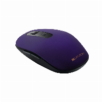 Мишка CANYON 2 in 1 Wireless Optical Mouse Безжична -CNS-CMSW09V