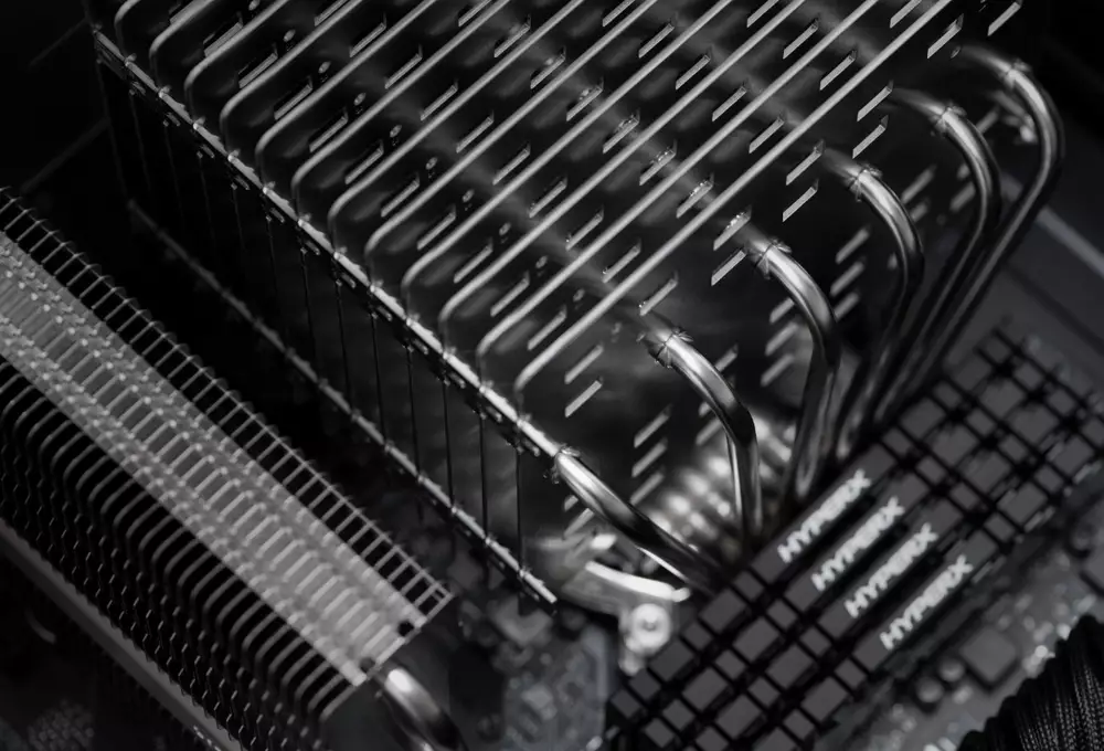 Охладител за процесор Noctua NH-P1 Passive