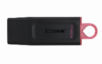USB памет Kingston DTX 256GB USB3.2