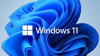 Операционна система Windows 11 Home 64bit ENG DSP DVD - KW9-00632