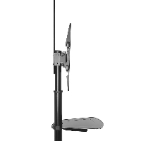 Мобилна стойка Ewent ACT AC8370,  За под, Регулируема, 32"-70", VESA, До 50 кг., Черна