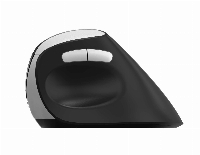Безжична ергономична мишка RAPOO EV250, 2.4Ghz, 1600dpi, Черен