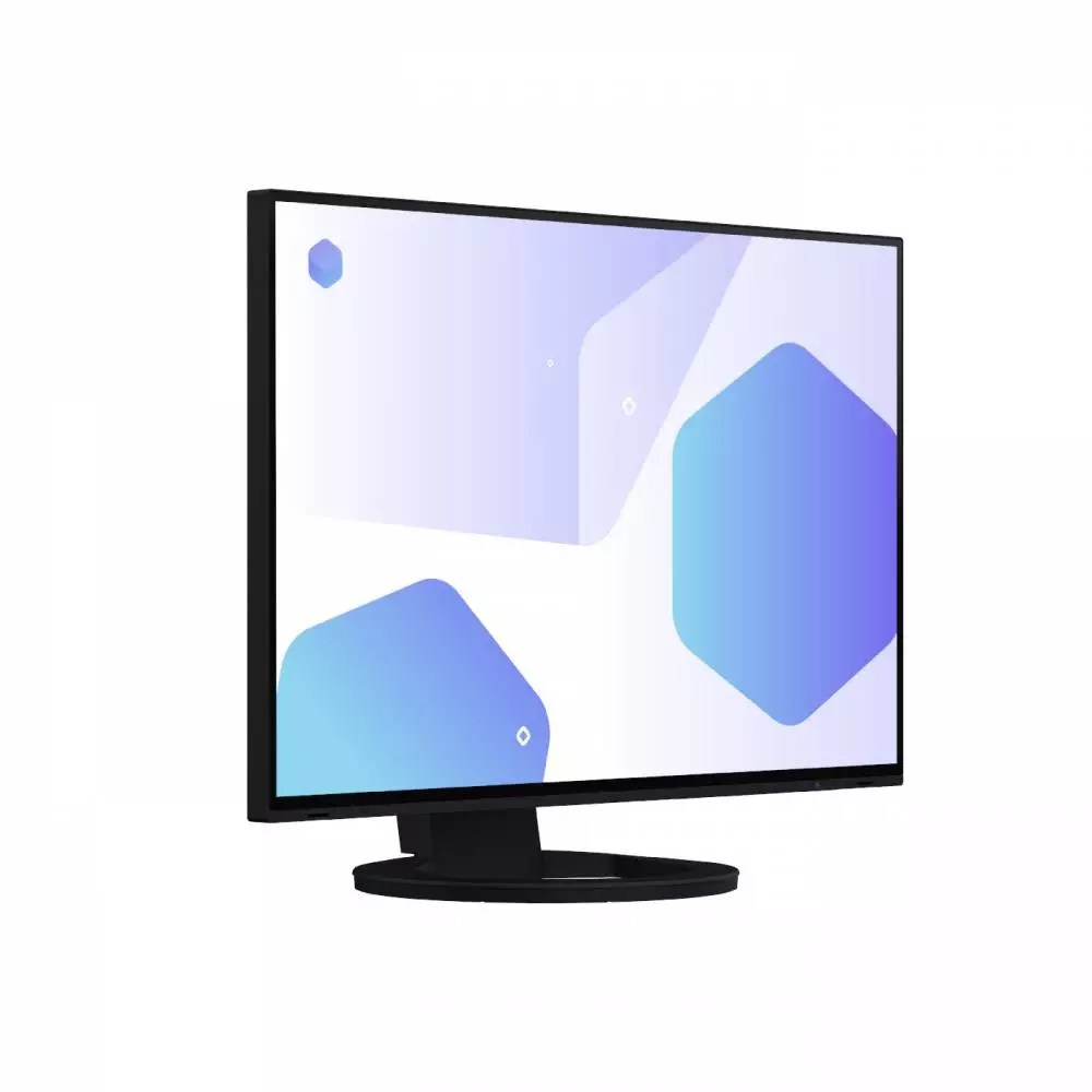 Монитор EIZO EV2485-BK 24.1" , IPS, FHD 1920x1200, 60Hz, 5ms, HDMI, DP, USB-C
