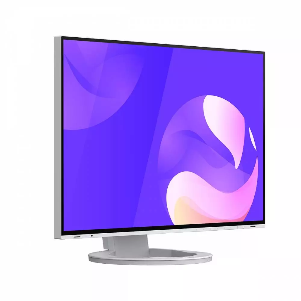 Монитор EIZO EV2495-WT