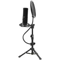 Микрофон LORGAR Voicer 721 LRG-CMT721 Gaming Microphone USB Type-C Black