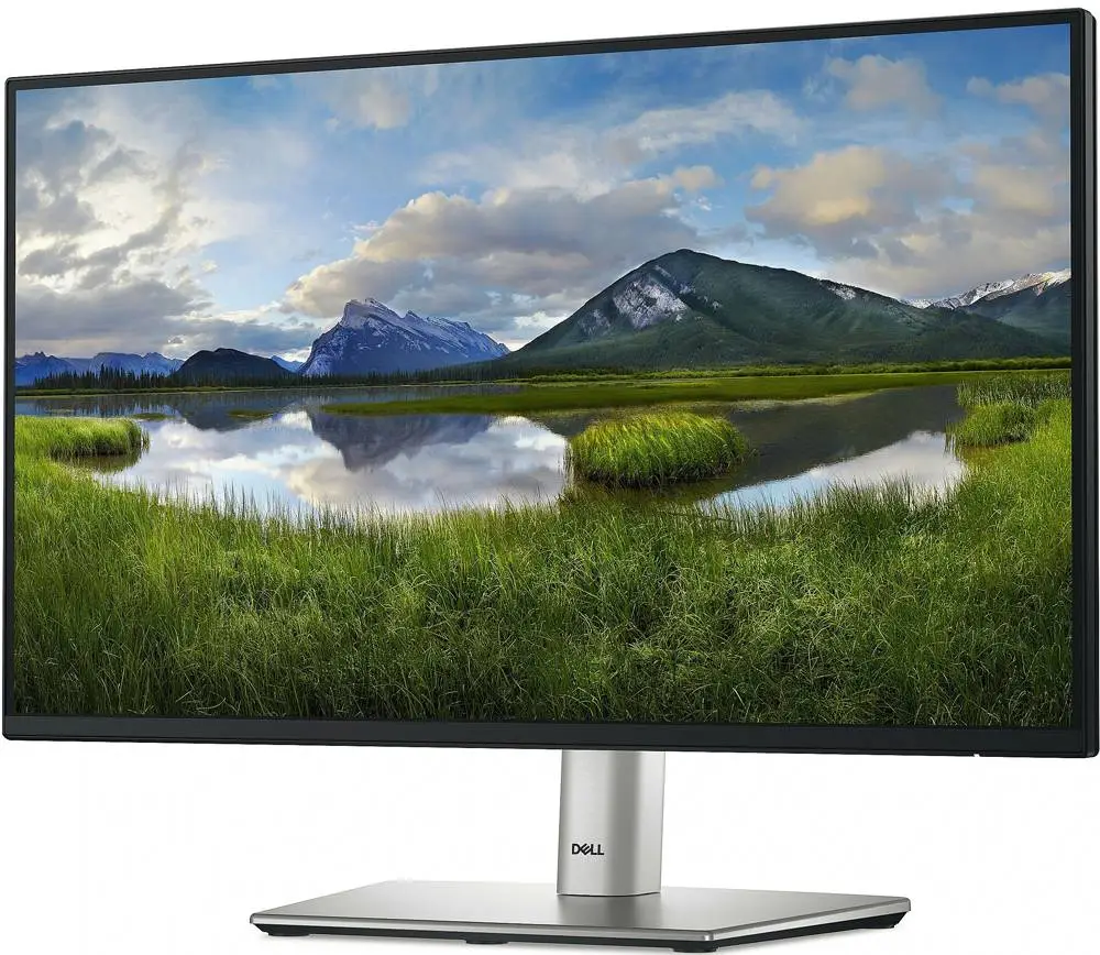 Монитор Dell P2225H, 21.5", IPS, FHD 1920x1080, 100Hz, 5ms, sRGB 99%, USB-C, DP, HDMI, VGA