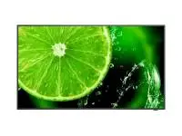 Широкоформатен дисплей NEC MultiSync E498, 49", UHD, 400cd/m2, Direct LED backlight, 16/7 proof, Media Player